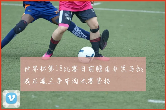 世界杯第18比赛日前瞻南非黑马挑战东道主争夺淘汰赛资格