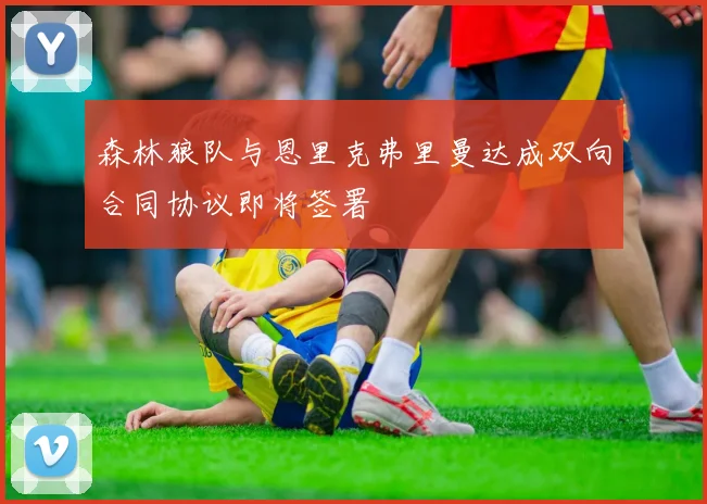 森林狼队与恩里克弗里曼达成双向合同协议即将签署