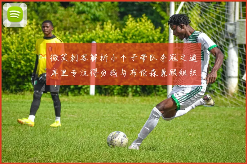 微笑刺客解析小个子带队夺冠之道库里专注得分我与布伦森兼顾组织与得分
