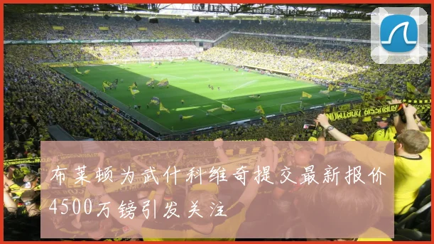 布莱顿为武什科维奇提交最新报价4500万镑引发关注