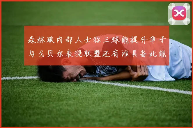 森林狼内部人士称三球能提升华子与戈贝尔表现联盟还有谁具备此能力